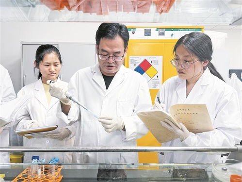 楚生輝 為新疆中藥學發(fā)展貢獻力量的醫(yī)學研究與試驗先鋒